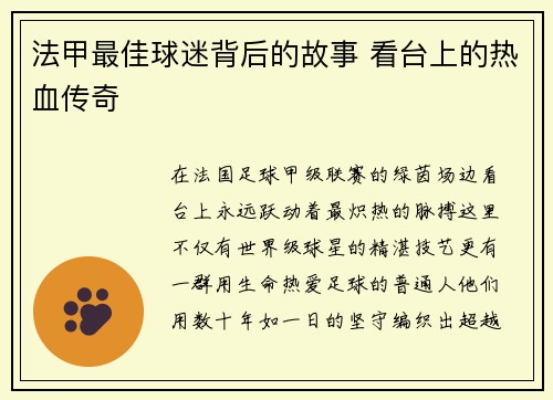 法甲最佳球迷背后的故事 看台上的热血传奇