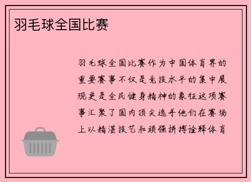 羽毛球全国比赛