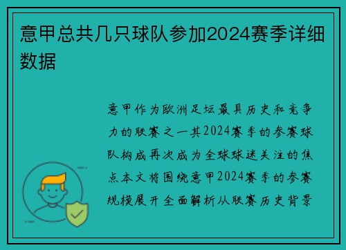 意甲总共几只球队参加2024赛季详细数据